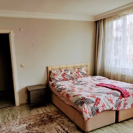 Ahmet Teacher'S Villa-2, 6 Minutes From Istanbul Airport Bed & Breakfast