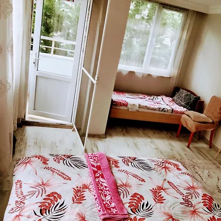 Bed & Breakfast Ahmet Teacher'S Villa-2, 6 Minutes From Istanbul Airport Arnavutkoy