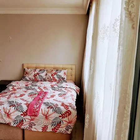 Ahmet Teacher'S Villa-2, 6 Minutes From Istanbul Airport *