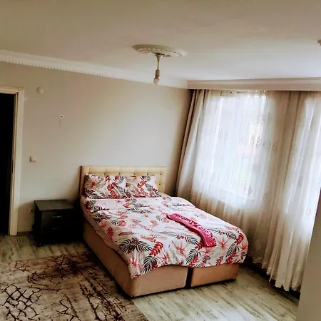 Ahmet Teacher'S Villa-2, 6 Minutes From Istanbul Airport Bed & Breakfast Arnavutkoy